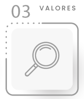 Ícone de valores em cinzento